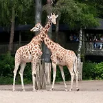 Comfort By Europarcs De Hooge Veluwe * Arnhem