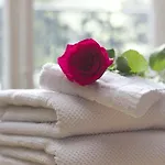 Comfort By Europarcs De Hooge Veluwe Appartement *