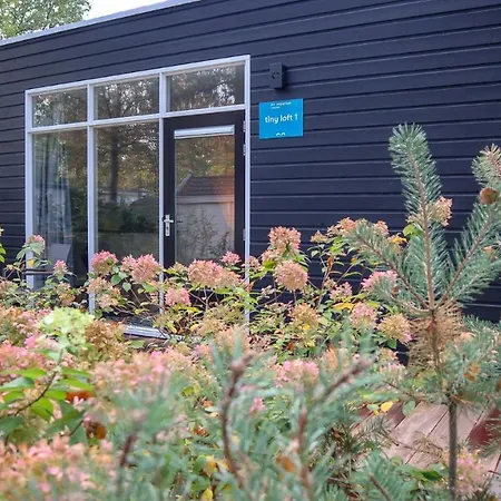 Appartement Comfort By Europarcs De Hooge Veluwe *