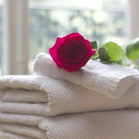Comfort By Europarcs De Hooge Veluwe アパート *